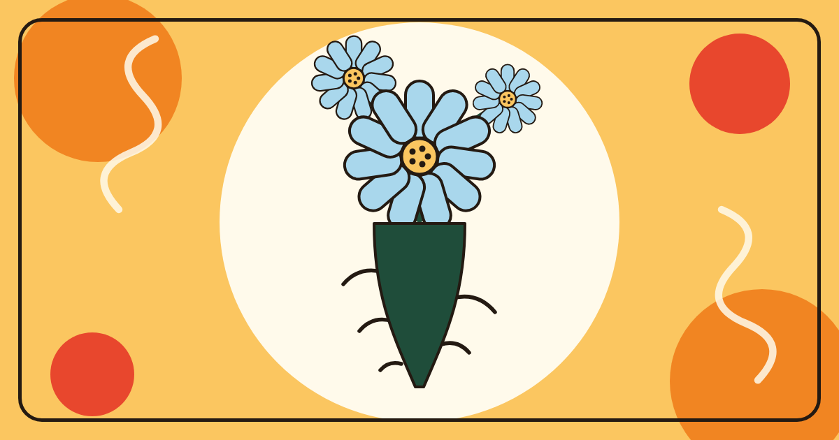 Illustration of a blue chicory flower above its long green taproot